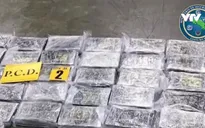 Costa Rica thu giữ hơn 3 tấn cocaine giấu trong container chở chuối
