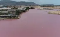 Truy tìm nguyên nhân đầm nước đổi màu tím bốc mùi hôi thối nồng nặc tại Bà Rịa – Vũng Tàu