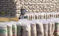 Chính phủ ban hành nghị quyết bảo đảm an ninh lương thực quốc gia đến năm 2030
