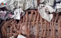 Phát hiện 4.000 món đồ cổ trong một ngôi nhà tại Peru