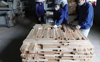 Xuất khẩu gỗ vẫn tăng 16% trong bối cảnh COVID-19