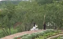 Nỗ lực giữ màu xanh cho Đà Lạt
