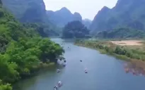 Rừng vối cổ thụ giữa Tràng An