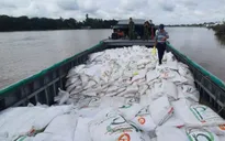 Muôn kiểu buôn lậu đường cát qua biên giới đẩy ngành mía đường vào thế khó