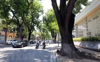 Nắng nóng mở rộng ra toàn khu vực Bắc Bộ và Trung Bộ