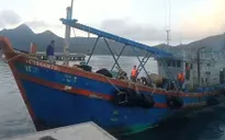 Bắt giữ tàu cá chở 20.000 lít dầu không rõ nguồn gốc
