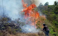 Trung Bộ đề phòng hỏa hoạn, cháy rừng do nắng nóng