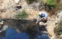 Vụ nước hồ đổi màu tím: Mẫu nước thải Công ty Nghê Huỳnh vượt quy chuẩn