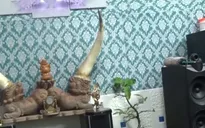 KHÓ TIN: Bệnh nhân tâm thần mở phòng... "bay lắc", mua bán ma túy trong bệnh viện