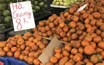 Cam sành đặc sản giá siêu rẻ 8.000 đồng/kg, tiểu thương tiết lộ sự thật