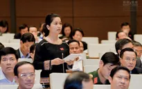 Công dân tự ứng cử đại biểu Quốc hội cần có những tiêu chuẩn nào?