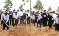 Đề án 1 tỷ cây xanh - Vì một Việt Nam xanh