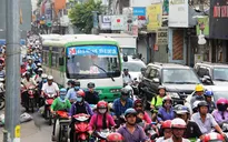 Triển khai xe bus mini tại TP Hồ Chí Minh là giải pháp khả thi