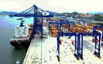 Hải Phòng sẽ có thêm 2 bến container gần 6.500 tỷ đồng