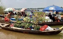 Ngăn chặn kịp thời 35 người nhập cảnh trái phép