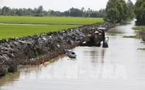 Mặn xâm nhập sâu vào nội đồng tại Đồng bằng sông Cửu Long