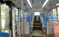 Xe bus mini phù hợp với giao thông TP Hồ Chí Minh như thế nào?