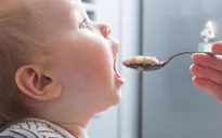 FDA cảnh báo mối nguy từ chất hóa học có trong thực phẩm dành cho trẻ em