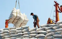 Giá gạo xuất khẩu Việt Nam lập đỉnh mới