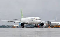 Máy bay xin hạ cánh khẩn vì nghi chim va lõm vỏ động cơ