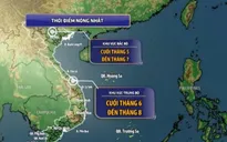 Mùa hè năm nay nắng nóng gay gắt?