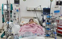 Cảnh báo bệnh viêm não, màng não do não mô cầu