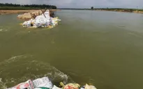 Đà Nẵng thiếu nước sinh hoạt do nhiễm mặn
