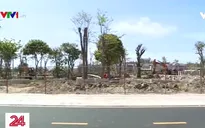 Vũng Tàu: Mạnh tay xử lý cán bộ bảo kê xây dựng trái phép