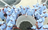 Chuyển đổi tư duy từ sản xuất nông nghiệp sang làm kinh tế nông nghiệp