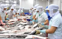 Đẩy mạnh kích cầu tiêu thụ nội địa cá tra