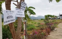 Thanh tra việc phân lô bán nền ở Lâm Đồng, Khánh Hòa, Bình Thuận