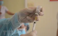 Bộ Giao thông vận tải kiến nghị ưu tiên tiêm vaccine COVID-19 cho thuyền viên