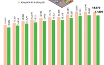[INFOGRAPHIC] Giá xăng đã biến động như nào trong thời gian qua?