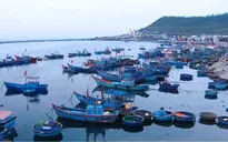 Sớm đưa Lý Sơn trở thành trung tâm du lịch biển đảo