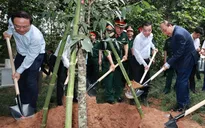 Chủ tịch nước Nguyễn Xuân Phúc dự Lễ phát động trồng cây tại Khu di tích lịch sử K9