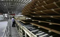 Ngăn chặn tình trạng đầu tư “núp bóng” để ngành gỗ Việt phát triển