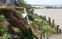Kè biển Trà Vinh xuất hiện 19 điểm sạt lở nguy cấp