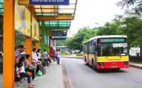 Hà Nội sẽ có 300 tuyến xe bus trong 10 năm tới