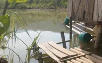 Rủ nhau tắm ao, 3 học sinh đuối nước thương tâm