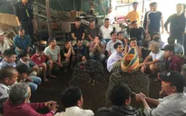 Bắt quả tang 45 đối tượng trên sới gà hơn 100 triệu đồng