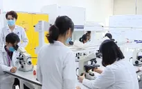 Nghịch lý nhiều ngành khát nhân lực nhưng khó tuyển sinh