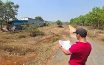 "Bội thực" đấu giá đất, sẵn sàng "bỏ cọc chạy lấy người"
