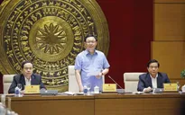 Thành công toàn diện của Quốc hội khóa XIV có sự đóng góp quan trọng của Hội đồng dân tộc