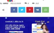 "Sập" sàn đầu tư Coolcat, nhiều người "tá hỏa" lo mất tiền tỉ