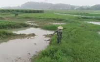 Đất chưa “sạch” đã bán đấu giá