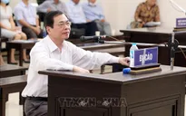 Hồ Thị Kim Thoa tham mưu gì cho Vũ Huy Hoàng trong phi vụ Sabeco Pearl?