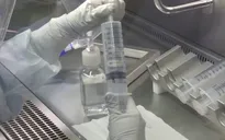 Đức lên kế hoạch nới lỏng hạn chế đối với người đã tiêm vaccine
