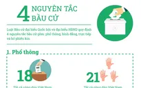 [Infographic] 4 nguyên tắc bầu cử đại biểu Quốc hội, đại biểu Hội đồng nhân dân