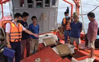 Bắt giữ tàu chở 70.000 lít dầu DO không rõ nguồn gốc