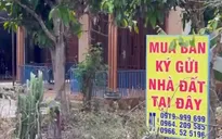 Đánh thuế bất động sản, ghìm cương "con ngựa bất kham" giá đất?
